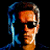 Arnold as the Terminator