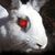 Bunnicula