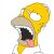 Homer Simpson